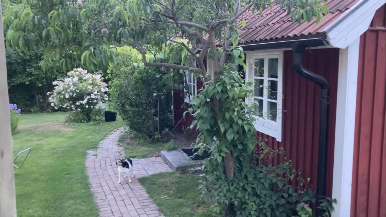 Isans Stuga Broby Exterior photo